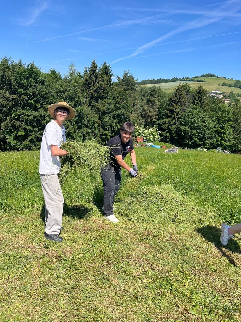 Gruppe 2 bei der Gartenarbeit und beim Schneiden von Feuerholz in Grametschlag