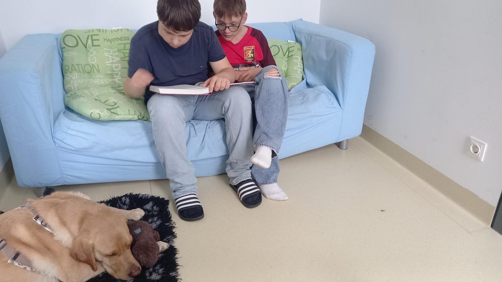 SchĂŒler liest konzentriert aus einem Buch, wĂ€hrend der Schulhund ruhig daneben liegt