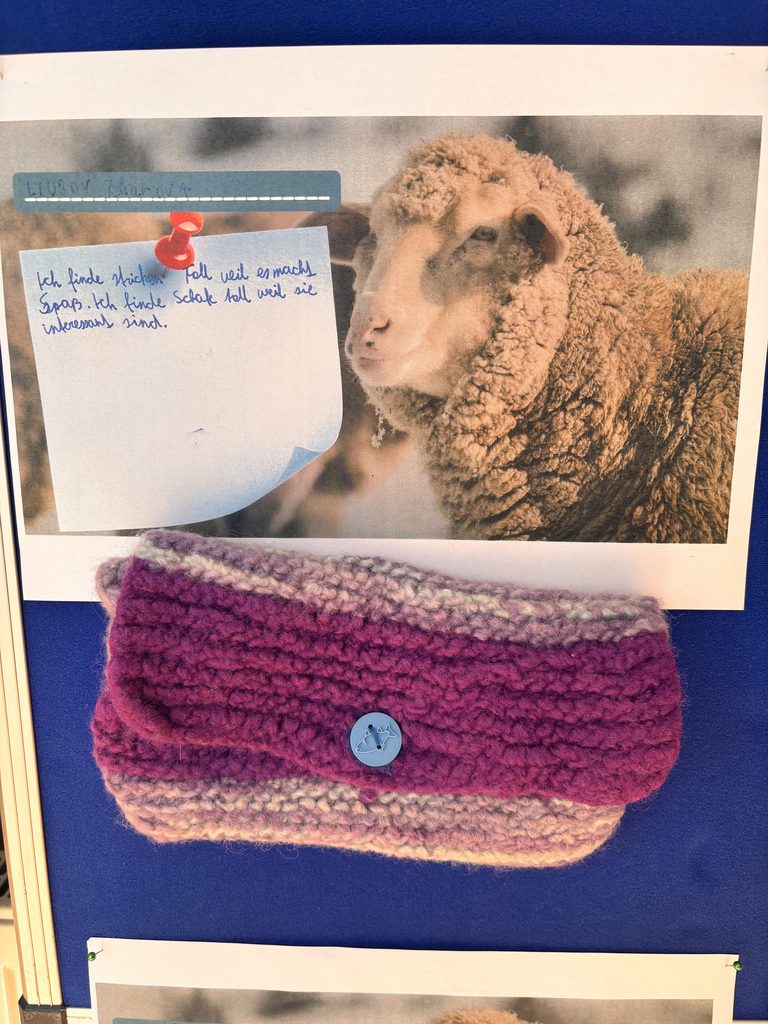 Pink-violettes gefilztes Handytäschchen mit blauem Knopf vor einem Schaf-Foto