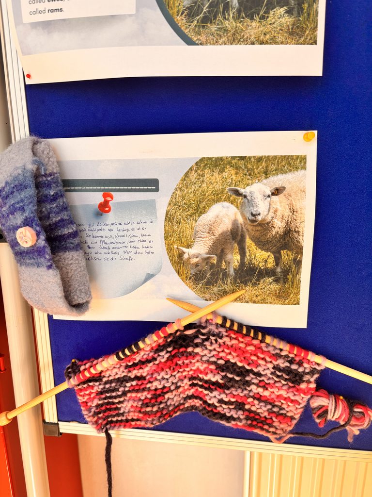 Blau-violettes Strickfilz-Täschchen neben einem angefangenen Strickstück auf Stricknadeln